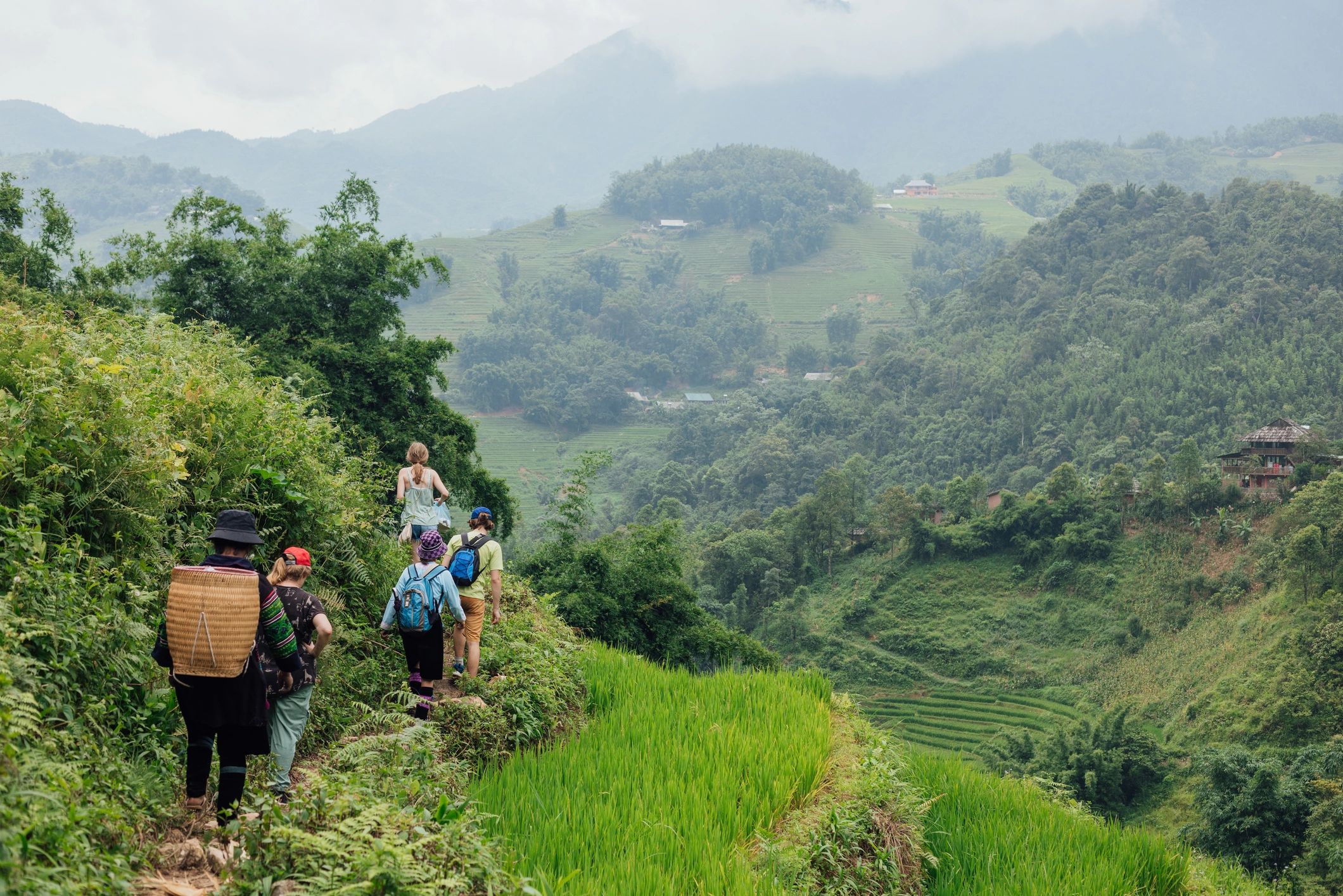 Travelers walking through terraced rice fields